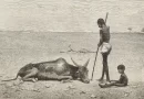 प्रशांत महासागर में एक शक्तिशाली अल नीनो आकार ले रहा है;   इसका असर बेहद गंभीर हो सकता है