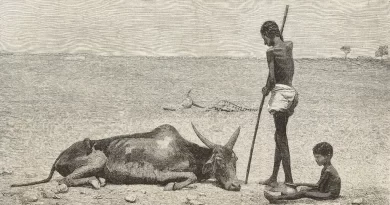 प्रशांत महासागर में एक शक्तिशाली अल नीनो आकार ले रहा है;   इसका असर बेहद गंभीर हो सकता है