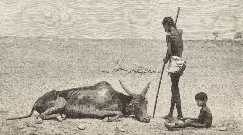 प्रशांत महासागर में एक शक्तिशाली अल नीनो आकार ले रहा है;   इसका असर बेहद गंभीर हो सकता है