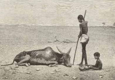 A Powerful El Niño Is Forming. If History Is a Guide, It Could Hit Hard. A Powerful El Niño Is Forming. If History Is a Guide, It Could Hit Hard.