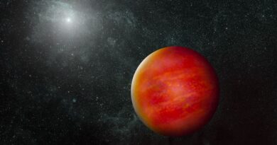 NASA Volunteers Double Known Population of Brown Dwarfs