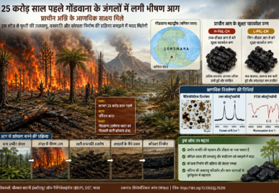 कोयले में संरक्षित प्राचीन जंगल की आग के साक्ष्य से पृथ्वी की जलवायु के सुराग का पता चला कोयले में संरक्षित प्राचीन जंगल की आग के साक्ष्य से पृथ्वी की जलवायु के सुराग का पता चला