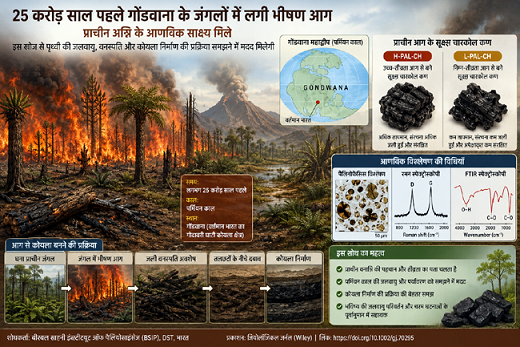 कोयले में संरक्षित प्राचीन जंगल की आग के साक्ष्य से पृथ्वी की जलवायु के सुराग का पता चला कोयले में संरक्षित प्राचीन जंगल की आग के साक्ष्य से पृथ्वी की जलवायु के सुराग का पता चला