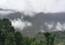 बेमौसम बारिश से गेहूं–जौ की फसल संकट में, काश्तकार परेशान