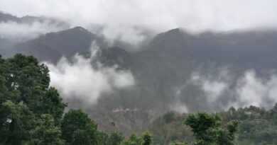 बेमौसम बारिश से गेहूं–जौ की फसल संकट में, काश्तकार परेशान