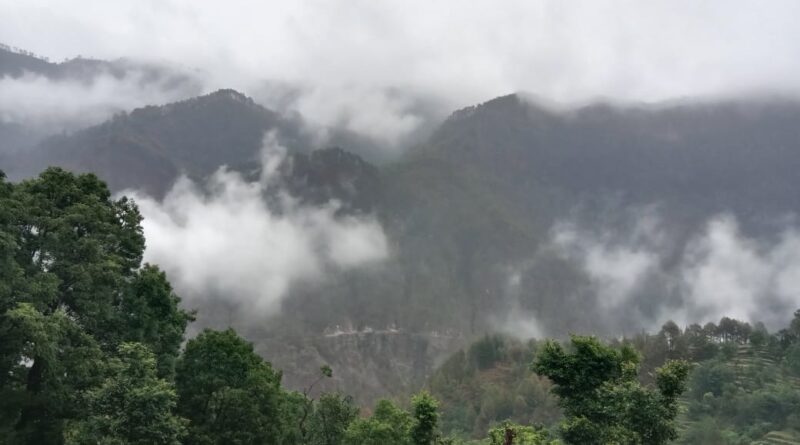 बेमौसम बारिश से गेहूं–जौ की फसल संकट में, काश्तकार परेशान