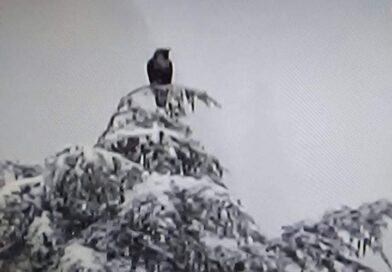 “एक स्मृति चित्र “- राम कथा और काकभुशुण्डि
