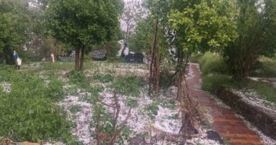 बेमौसम बारिश और ओलावृष्टि से काश्तकारों की बढ़ी चिंता, फसलों को भारी नुकसान