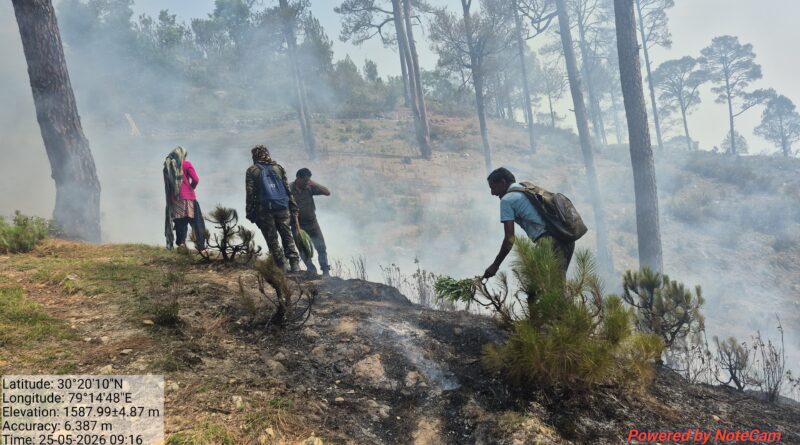 केदारनाथ वन प्रभाग के जंगलों में भीषण आग, वन कर्मी आग बुझाने में जुटे