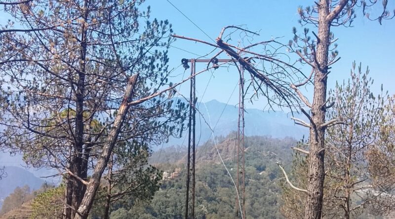 आंधी-तूफान से हापला फीडर ठप, दर्जनों गांवों में रातभर पसरा अंधेरा
