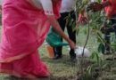 हरित हरिद्वार’ अभियान को मिल रहा व्यापक जनसमर्थन