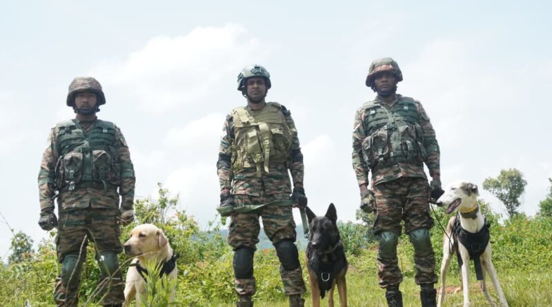 ‘प्रगति 2026’ में छाए भारतीय सेना के K9 योद्धा, दिखाया साहस और तकनीक का अद्भुत संगम