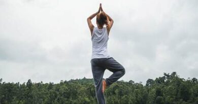 भारत: वैश्विक मेडिकल वैल्यू ट्रैवल (MVT) और समग्र स्वास्थ्य का उभरता केंद्र