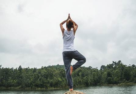 भारत: वैश्विक मेडिकल वैल्यू ट्रैवल (MVT) और समग्र स्वास्थ्य का उभरता केंद्र