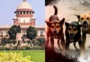 खतरनाक कुत्तों को मारने की अनुमति नहीं, लोगों को बिना डर जीने का अधिकार भी जरूरी : सुप्रीम कोर्ट