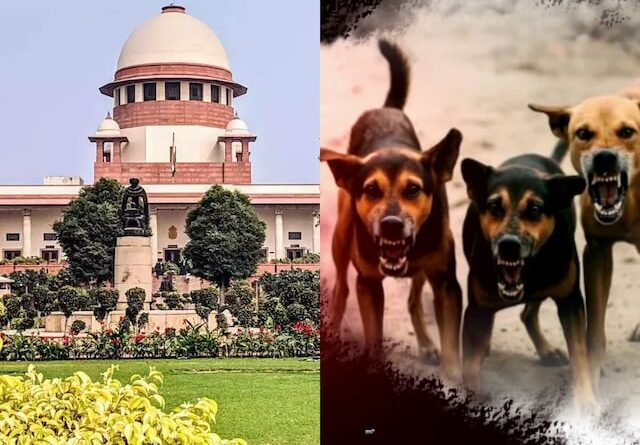 खतरनाक कुत्तों को मारने की अनुमति नहीं, लोगों को बिना डर जीने का अधिकार भी जरूरी : सुप्रीम कोर्ट