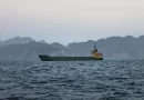 Shipping Traffic in Strait of Hormuz Picks Up Again