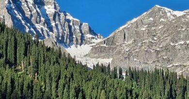 सोनमर्ग: जहां धरती आकाश से मिलती है
