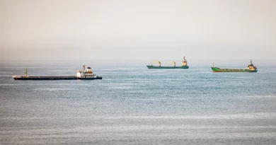 Iranian Forces Say They Closed Strait of Hormuz