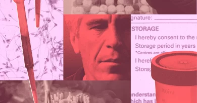 Jeffrey Epstein’s Sperm May Have Survived Him
