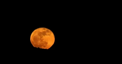 The Blue Moon Is Back, and It’s Micro