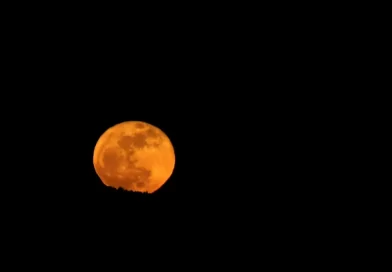 The Blue Moon Is Back, and It’s Micro The Blue Moon Is Back, and It’s Micro