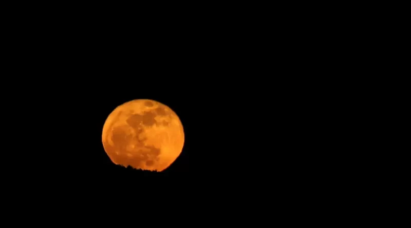 The Blue Moon Is Back, and It’s Micro The Blue Moon Is Back, and It’s Micro