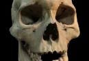 A Deadly Outbreak of Plague, Nearly 5,000 Years Before the Black Death