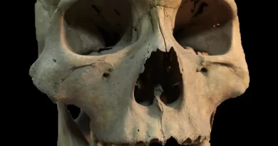 A Deadly Outbreak of Plague, Nearly 5,000 Years Before the Black Death