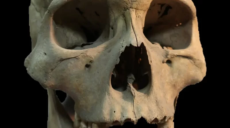 A Deadly Outbreak of Plague, Nearly 5,000 Years Before the Black Death