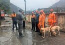 दयारा बुग्याल ट्रेक पर लापता महिला ट्रेकर की तलाश जारी