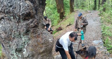 दयारा बुग्याल में लापता महिला ट्रैकर की तलाश तेज, संयुक्त टीमें चला रहीं सघन खोज अभियान