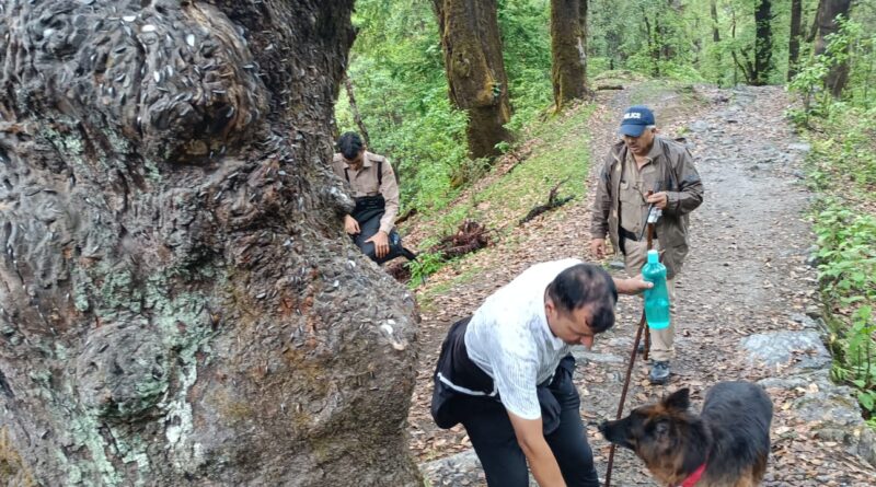दयारा बुग्याल में लापता महिला ट्रैकर की तलाश तेज, संयुक्त टीमें चला रहीं सघन खोज अभियान