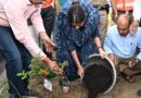 हरित हरिद्वार अभियान के तहत जनपद में व्यापक वृक्षारोपण, 15 हजार से अधिक पौधे रोपे गए