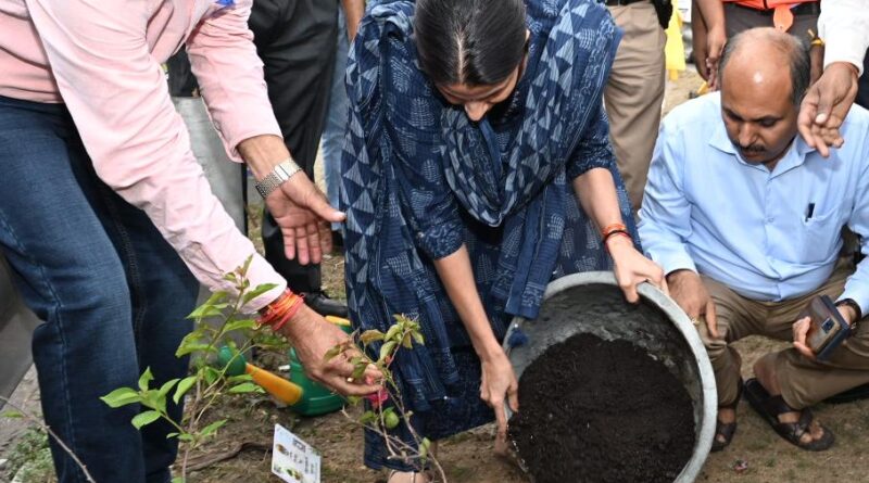 हरित हरिद्वार अभियान के तहत जनपद में व्यापक वृक्षारोपण, 15 हजार से अधिक पौधे रोपे गए