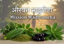 मिशन मधुमेह: आयुर्वेद और आधुनिक चिकित्सा का संगम मिशन मधुमेह: आयुर्वेद और आधुनिक चिकित्सा का संगम