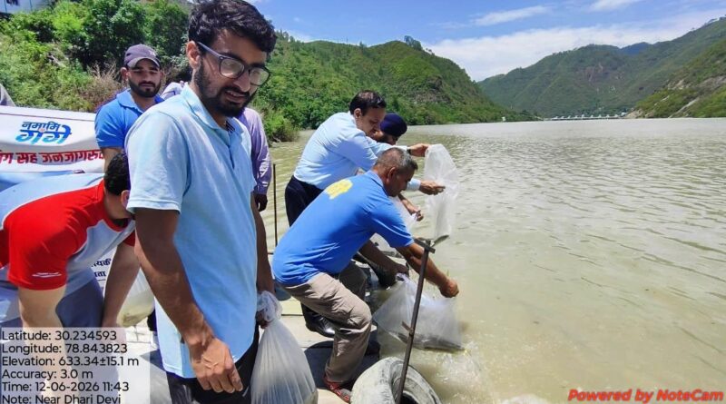 अलकनंदा में प्रवाहित की गईं 7 हजार महाशीर मछलियों की उंगलिकाएं, संरक्षण पर दिया गया जोर
