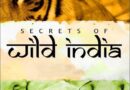 वन्यजीव और अद्भुत दुनिया के 100 वर्ष का उत्सव: मुंबई इंटरनेशनल फिल्म फेस्टिवल ने डेविड एटनबरो को सम्मानित किया