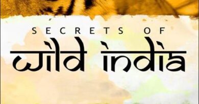 वन्यजीव और अद्भुत दुनिया के 100 वर्ष का उत्सव: मुंबई इंटरनेशनल फिल्म फेस्टिवल ने डेविड एटनबरो को सम्मानित किया