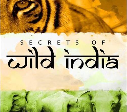 वन्यजीव और अद्भुत दुनिया के 100 वर्ष का उत्सव: मुंबई इंटरनेशनल फिल्म फेस्टिवल ने डेविड एटनबरो को सम्मानित किया
