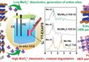 Catalyst that transforms to perform