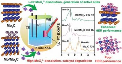 Catalyst that transforms to perform