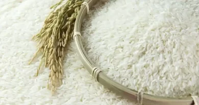 जोहा चावल- मधुमेह प्रबंधन में श्रेष्ठ न्यूट्रास्युटिकल