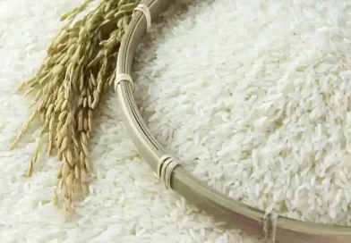 जोहा चावल- मधुमेह प्रबंधन में श्रेष्ठ न्यूट्रास्युटिकल जोहा चावल- मधुमेह प्रबंधन में श्रेष्ठ न्यूट्रास्युटिकल
