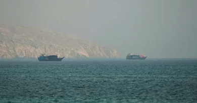 Mediators Trying to Pull U.S. and Iran Back From Brink, Officials Say