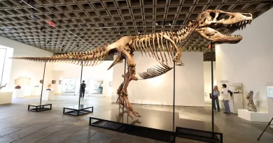 T. REX FOSSIL SELLS FOR .1 MILLION, PUTTING THE KING BACK ON TOP