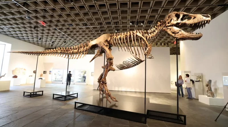 T. REX FOSSIL SELLS FOR .1 MILLION, PUTTING THE KING BACK ON TOP