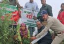देवस्थान वन पंचायत में हरेला पर फलदार एवं छायादार पौधों का रोपण, संरक्षण का लिया संकल्प ।