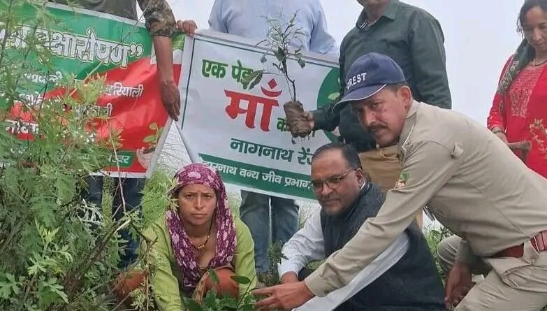 देवस्थान वन पंचायत में हरेला पर फलदार एवं छायादार पौधों का रोपण, संरक्षण का लिया संकल्प ।