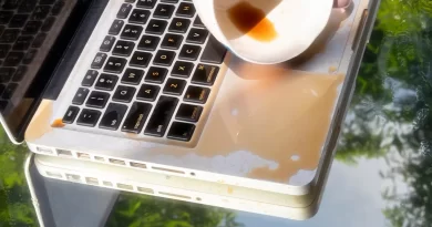 Gen Z Fell Out of Love With Work. I Don’t Blame Them.